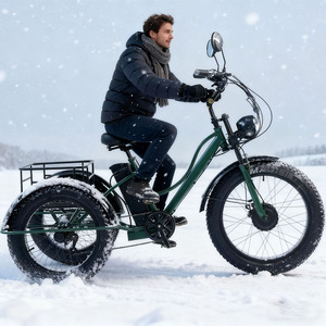 Ventes chaudes Tricycle électrique à 7 vitesses de 24 pouces Cadre en acier de haute qualité Moteur 750w 48v Vélo d'entraînement à <span class=keywords><strong>3</strong></span> <span class=keywords><strong>roues</strong></span> pour adultes - Product Image 1