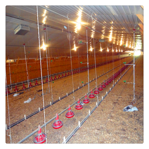 Nichoir automatique en acier pour poules pondeuses, poulailler, nidification, ferme avicole, atelier, type léger - Product Image 2