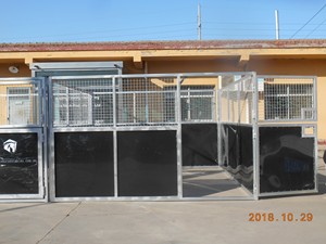 Abri en acier galvanisé stable pour chevaux à usage intensif pour ranch équestre - Product Image 3