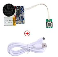 Module enregistreur de son et de musique miniature personnalisé pour cartes de vœux, jouets musicaux et cadeaux – Fabricant professionnel