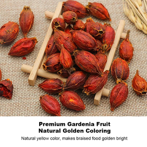Frutos Secos de Gardenia (Zhizi) de China - Product Image 3