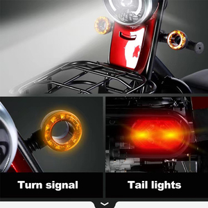 Triciclo Elettrico Economico per Anziani, Scooter <span class=keywords><strong>a</strong></span> <span class=keywords><strong>Tre</strong></span> <span class=keywords><strong>Ruote</strong></span> per Adulti (48/60v 500w) - Product Image 4