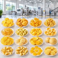 Mesin Produksi Pelet Snack Golgappa 2D 3D Otomatis Penuh untuk Pembuatan Papad Goreng, Fryums India, dan Pani Puri