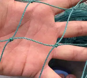 Plastic Bop Netting/ Garden Anti Bird Net/extruded Mole Netting