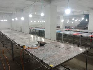 Venta al por mayor de sudaderas de lana con logotipo personalizado para mujer/último diseño 2024 sudaderas de moda - Product Image 5