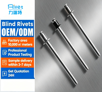 Rivets à tête bombée polis, tête CSK, acier inoxydable, rivet aveugle Skk3035, tête double fraisée, rivet aveugle à tirage traversant