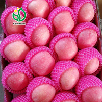 2024 pommes fraîches manzana fresca pomme fruit frais chinois Fuji pomme