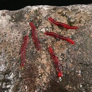 Señuelo de pesca de lombriz simulada de 4 cm, <span class=keywords><strong>gusano</strong></span> rojo, carnada blanda para pesca en el mar, aparejos de pesca Luya al por mayor - Product Image 3