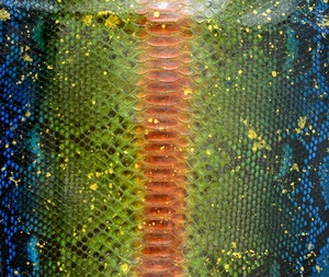 Tùy chỉnh da Phong Bì ly hợp túi phụ nữ <span class=keywords><strong>Python</strong></span> Túi da kỳ lạ Túi Xách Thương hiệu Tên rắn da ví tùy chỉnh thực hiện Logo - Product Image 5