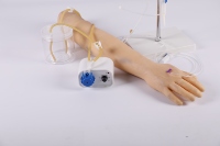 Maniquí de Brazo de PVC para Entrenamiento Médico, para Prácticas de Venopunción e Inyección, BIX HS3S, Simulación Realista de Alta Calidad para Escuelas de Enfermería
