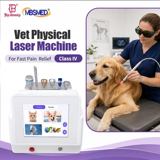 Class 4 30W High Intensity 980nm Veterinary Laser Therapy for Equine Deep Tissue Healing