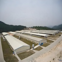 Estructura de Acero Prefabricada de Bajo Costo, Gallinero Comercial Completo, Nave Avícola para la Cría de Pollos