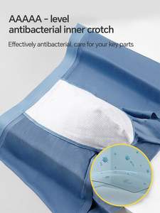 Sous-vêtements pour hommes en modal en gros avec logo personnalisé, sous-vêtements antibactériens en graphène, boxers sans couture, taille plus pour hommes - Product Image 3