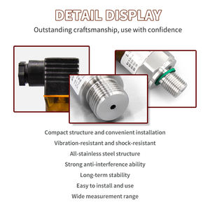 Sensor/Transmitter Tekanan OEM Berkinerja Tinggi dan Ringkas, Output 4-20mA/0-10V, Peringkat IP67, Akurasi 0.5%FS, Material Dapat Disesuaikan - Product Image 3