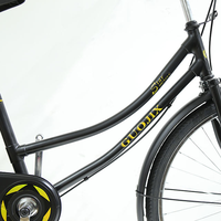 Vélo de ville élégant et classique à cadre en acier avec porte-bagages arrière, design à cadre bas, monovitesse, confortable pour les trajets urbains des adultes