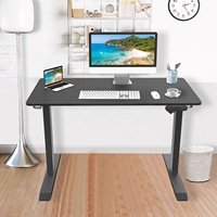 Bureau électrique assis-debout motorisé NANDI, ergonomique et extensible, 48x24 pouces, plateau composite, structure en fer, usage villa, 60 kg