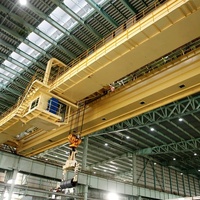 Pont roulant cantilever électromagnétique de 20 tonnes, contrôlé par PLC de type EC, portée 22,5 m (poutre principale verticale)