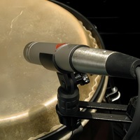 Paire stéréo professionnelle Microphones filaires Microphone de qualité sonore supérieure pour l'enregistrement d'ensemble d'instruments acoustiques