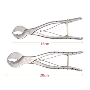 Forbici in Acciaio Inox per Acquario di Barriera Corallina 16/20cm, Accessori per Taglio Coralli Naturali - Product Image 2