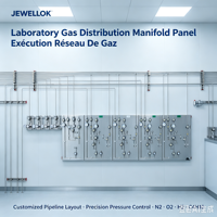 JEWELLOK Réseau de Gaz Université Centre de Recherche Laboratoire d'Analyse N2 O2 H2 C4H10 Installation Clé en Main