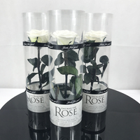 Kotak Bunga Awet Alami Cantik Flora Musim Panas Grosir Jenis Aplikasi Mawar Awet - Hari Valentine Grade 2 Tahun
