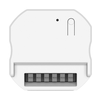 Usine Tuya DC12-48v 1 canal 5A Smart RGB Gradateur RF433 & WiFi Fonctionne avec le commutateur cinétique Google Home/Alexa pour la lumière/contrôle LED