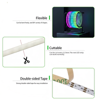 Vente en gros d'usine, OEM ODM disponible, bande LED flexible numérique RGBIC de 5 mètres, 5 mm, 160 LED par mètre, changement de couleur complet