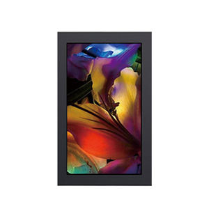 Durable haute luminosité étanche LCD extérieur suspendu numérique affiche publicité Machine commerciale pour ascenseur métro aéroport - Product Image 5