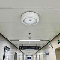 Neu von Brand: Kompaktes IP65 CE-zertifiziertes LED-Notlicht mit Lithium-Akku, 3 Stunden Notbeleuchtungszeit, SMD 6000K Licht