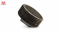 Bouchon carré en fonte malléable DN15~DN50, filetage mâle galvanisé, capacité de charge 1,6 MPa pour applications incendie, CVC et gaz