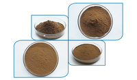 Extracteur de perming naturel en poudre, vente en gros