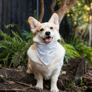 ผ้าพันคอสัตว์เลี้ยงลายสก็อตลายสก็อตสำหรับสุนัขขนาดเล็กและใหญ่สำหรับสุนัขในฤดูร้อนและฤดูหนาวโลโก้ออกแบบได้ตามต้องการ - Product Image 1