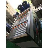 Machine à laver les brosses automatique en acier inoxydable personnalisée pour ligne de transformation alimentaire et de légumes