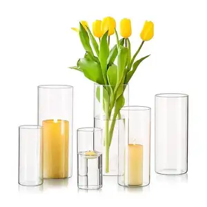 Nouveau Design 2.5 ''Diamètre Grand Table Fleurs Vase Vase Cylindre En Verre
