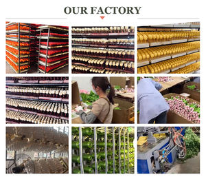 Fleur d'hortensia en soie à bord brûlé, artisanat DIY, accessoires pour cheveux faits à la main, assorti au Hanfu, décoration de la maison, mariage - Product Image 6