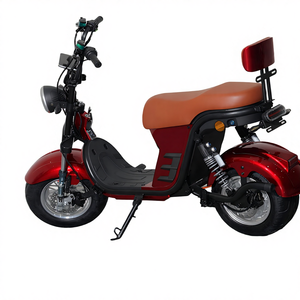 Scooter Eléctrico Personalizado OEM para Adultos, Batería de Plomo-Ácido de 48V, Neumático de Acero de 14 Pulgadas, Motor en el Buje Trasero, Autonomía Superior a 60 km - Product Image 4