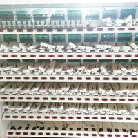DACHANG Soket Ekstensi Universal 3 Jalur ESMA CB Power Strip 3 Stopkontak AC 13A Kabel Ekstensi IEC Dengan Sakelar Individual ECAS
