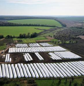 Sacchi per Silo da 250 Micron: la soluzione definitiva per lo stoccaggio del grano per agricoltori e aziende agricole - Product Image 1