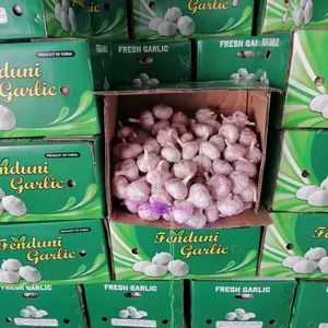 Export China Purple Garlic Red Garlic 10kg box 50/55mm for Tunis /Gabon/Mali/ Reunion/ Mayotte/ Burkina Faso