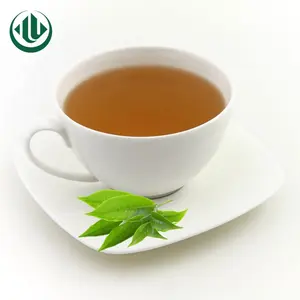 优质绿茶脸粉咖啡因脂肪燃烧速溶绿茶粉最佳提取物