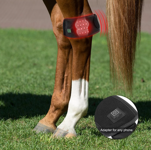 Dispositif professionnel de thérapie équine soulagement rapide de la douleur pour les chevaux animaux de compagnie animaux focalisés thérapie par ondes de choc application corporelle - Product Image 2