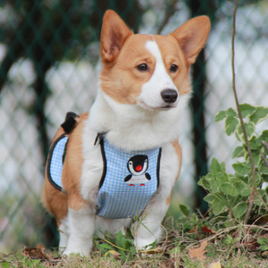 Corgi Belly Band - Chaleco impermeable a cuadros de color rosa para perros medianos, ropa para mascotas para todas las estaciones al aire libre - Product Image 4