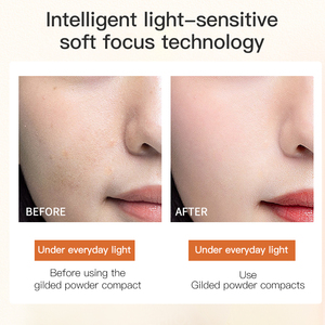 Alta Qualidade Preço de Fábrica Cor Misturada Controle de Óleo e Corretivo Borrar 2 em 1 Imprensa Powder Setting Powder para Maquiagem Base - Product Image 4