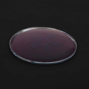 Lentes Ópticas Fotocromáticas Personalizadas Photon 1.59 PC, Lentes Progresivas Multifocales para Gafas - Product Image 4