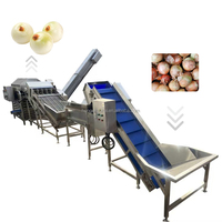 Ligne d'emballage de nettoyage et de séchage Jujube Palm Date Machine à laver et date de tri