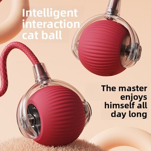 Jouet pour <span class=keywords><strong>chat</strong></span> en plumes de catnip naturel, balle auto-roulante, jouets interactifs pour chats d'intérieur, soulagement du stress, nettoyage des dents, jouets à mâcher pour chatons - Product Image 2
