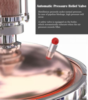 Distillateur d'huiles végétales organiques 20L 30L 65L en acier inoxydable avec tour en cuivre pur et extracteur d'huiles essentielles électrique