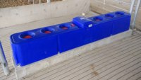 Abreuvoir en plastique à 4 trous pour bovins Abreuvoir pour moutons Réservoir d'eau