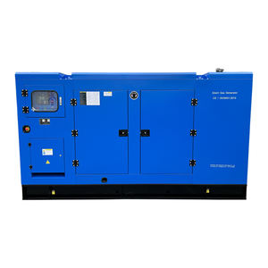 مجموعة مولدات طاقة كهربائية تعمل بغاز البترول المسال بقدرة 20، 30، 40، 50، 80، 100، 120، 160، 200، 300، 400، 500 كيلوواط، رئيسية لعمال التعدين - Product Image 1