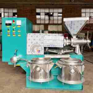 Presse <span class=keywords><strong>à</strong></span> huile purement physique sans pollution, préservation des nutriments, protection contre la surcharge, équipement de pressage d'huile naturelle comestible - Product Image 2